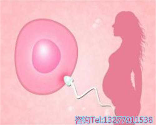 突击精子库事件与助孕服务安全性探讨