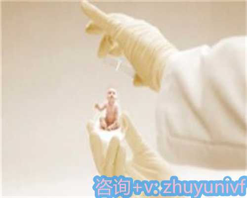 辽宁试管婴儿助孕费用与成功率解析